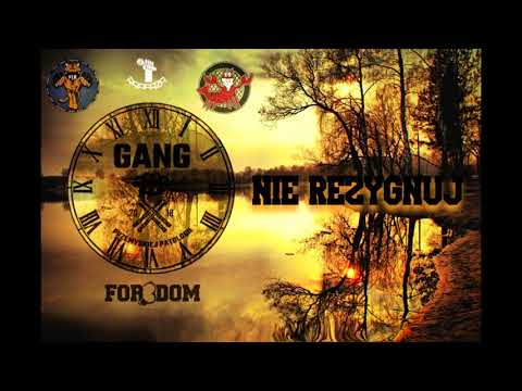 SeBeK GANG PP Ft. BaLoN , BuSchEr , KaZeNiTO  (PSM SQUAD )   - NIE REZYGNUJ.