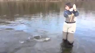 Кто кого: девушка или рыба! - Видео онлайн