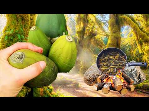 Survival in Beautiful forest area - Strange fruits  cooking  In Jungle