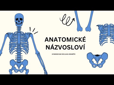 Anatomické názvosloví