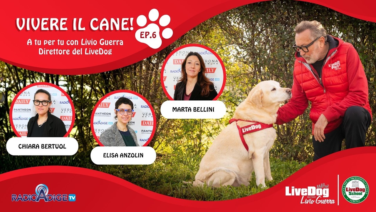 Descrizione dell'immagine