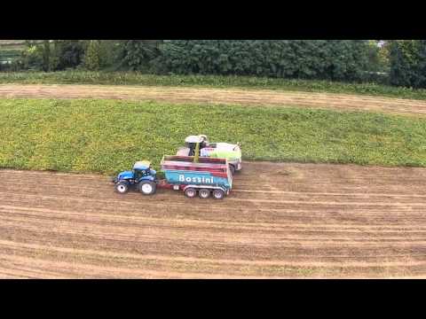 DOMAI MPD CLAAS 960 SOIA (1)