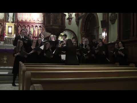 Northeast Catholic College's Polyphony Tour 2017 - Dixit Maria