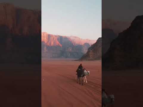 Magical Red Sunrise in wadi rum desert 🏜 #shorts #nature #ilovenature #youtubeshorts #wadirum