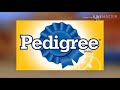 The Garfield Show Funding Credits With Theme Song And End Credits On PBS Kids Aired February 2012