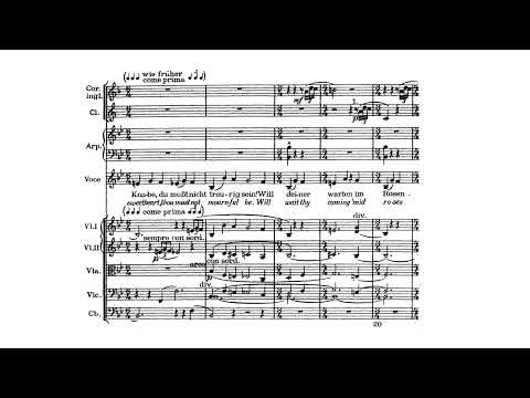Mahler - Des Knaben Wunderhorn - Bernstein: Piano vs. Orchestral versions (with score)