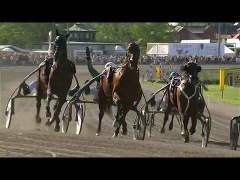 Jag vann Elitloppet - Torvald Palema 2009
