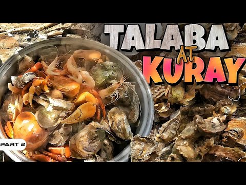 P2-Talaba at Kuray - EP1006