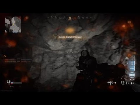 Haha Vector go BRRRRRRRR