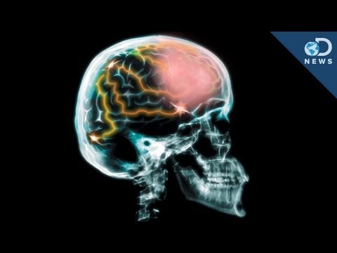 私たちは本当に私たちの脳の10％だけを使用していますか？ (Do We Really Use Only 10% Of Our Brain?)