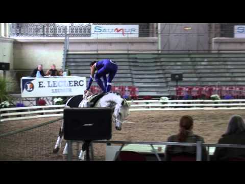 srv skibby saumur 2012 kür amanda