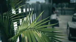 TingTryer ft Tia Thomas - If I Could I Would