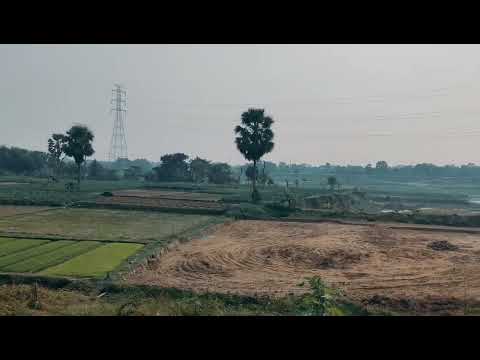 Scenery of nature beside Gomti River