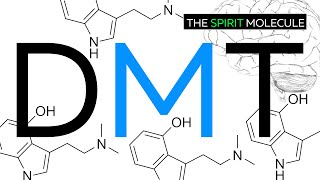 How To DMT | WARNING - Get Ready To Fly