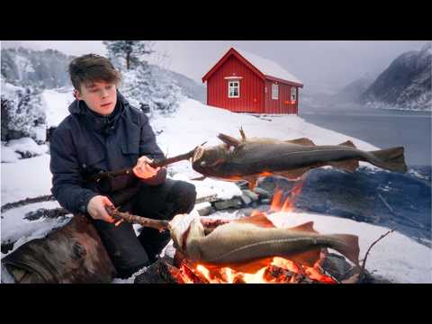Simple Cabin Life in Remote Norwegian Fjords