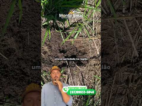 Fazenda à venda Pium Tocantins R$ 50 mil por alqueires