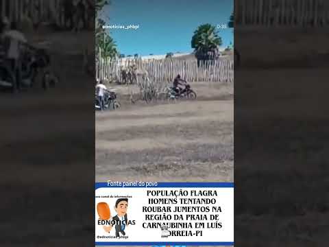 POPULAÇÃO FLAGRA ELEMENTOS QUERENDO ROUBAR JUMENTOS A REGIÃO DE LUÍS CORREIA PIAUÍ