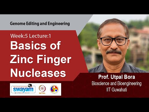 Genome Editing and Engineering Intro Video