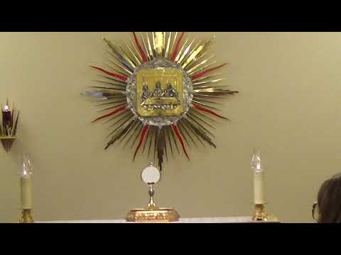 Madonna dello scoglio 2020