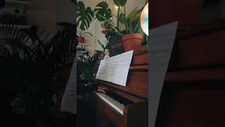 Muse - The Void (Acoustic Piano Cover)