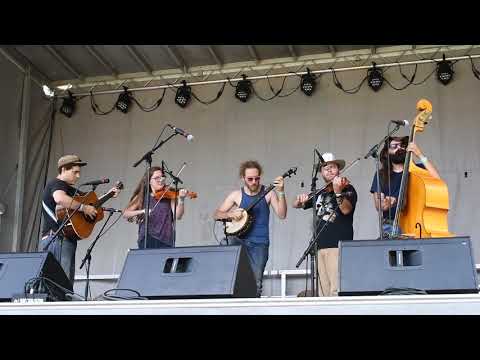 Clifftop 2018 - Mule Team - Big Possum String Band