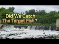 Video Thumbnail for Did We Catch The Target Fish?