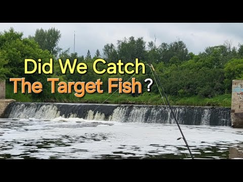 Did We Catch The Target Fish?