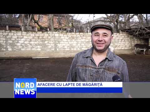 , title : 'AFACERE CU LAPTE DE MĂGĂRIȚĂ'