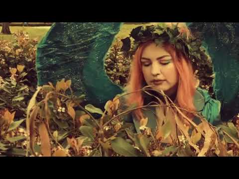 Moss - The Birds (Official Music Video)