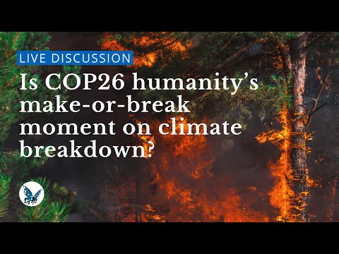 Is COP26 humanity’s make-or-break moment on climate breakdown? | openDemocracy Live