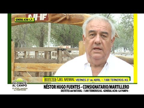 DE FRENTE AL CAMPO junto a "DESTETES del NATURAL" -NÉSTOR FUENTES-
