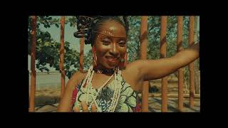 Fela Kuti -Beasts of No Nation (MUSIC VIDEO)