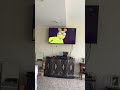 Opening To Arthur DW Rides Again 1998 VHS