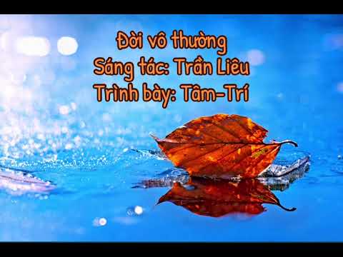 Đời vô thường Sheet - Tâm