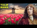 How A Random Flower Became The Bitcoin Of The 1600s