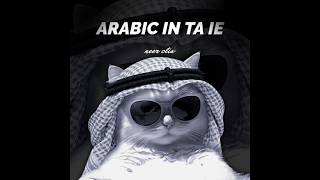 Download lagu DROP ENAKEUN MELODY ARAB X IN TA IE | AMIRFVNKY mp3
