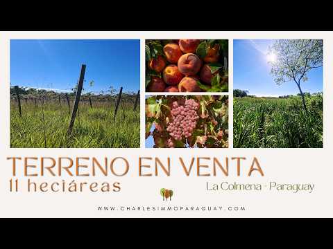 Paraguay - La Colmena | Terreno de 11 Hectáreas en Venta (Con Cultivos)