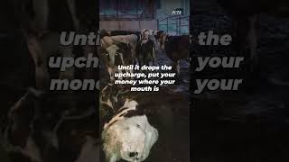 Download lagu Starbucks’ Vegan Milk Upcharge Hurts More Than Your Wallet #shorts mp3