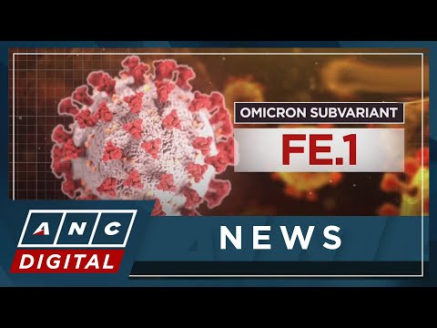 PH detects first omicron FE.1 case ANC