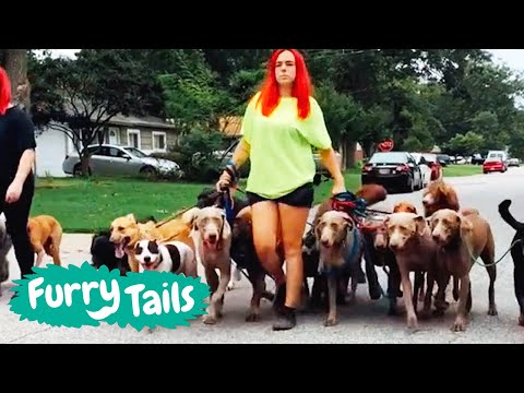 Life With 30 Dogs 🐶 | Furry Tails