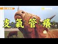 換季總是抓不停？ 營養師教你擺脫各種「癢」