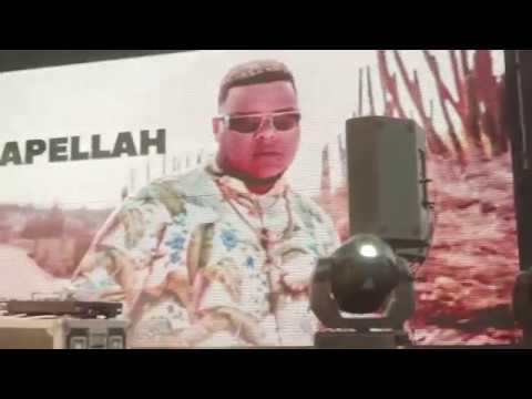 AKAPELLAH en BMF - Resumen de su participación