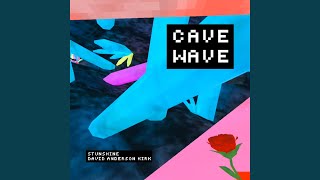 Cover art for CAVE WAVE