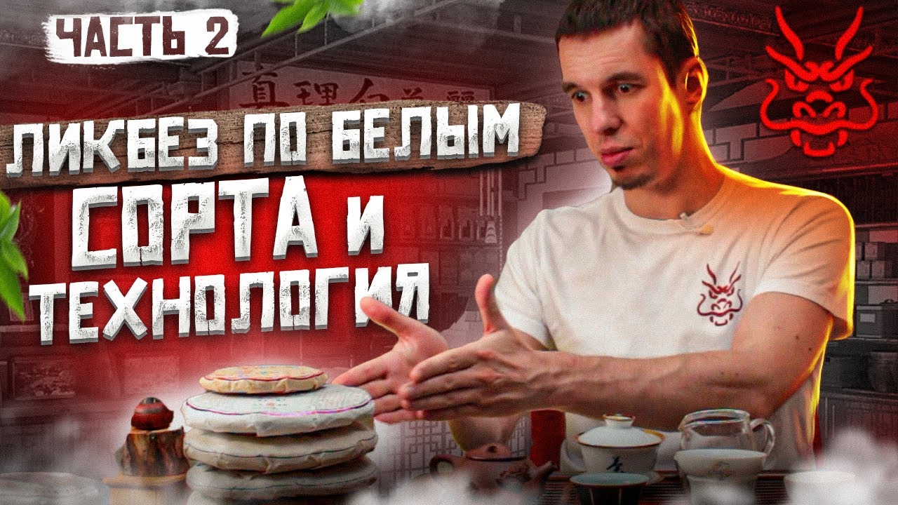 БЕЛЫЙ ЧАЙ: Сорта белого чая! Технология производства белого чая! Китайский чай! Часть 2