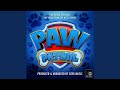 Paw Patrol On A Roll From Paw Patrol