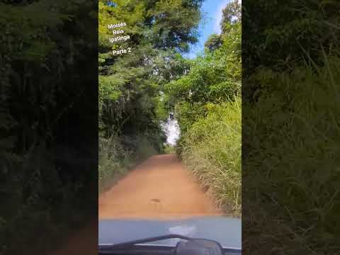 Estrada Rural de Joanésia #shorts