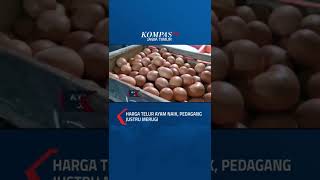 Download lagu Harga Telur Ayam Naik, Pedagang Justru Merugi #shorts #telur #ayam #harga #pedagang #ternak #jatim mp3