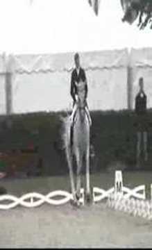 Matine & Andreas Helgstrand WEG 2006