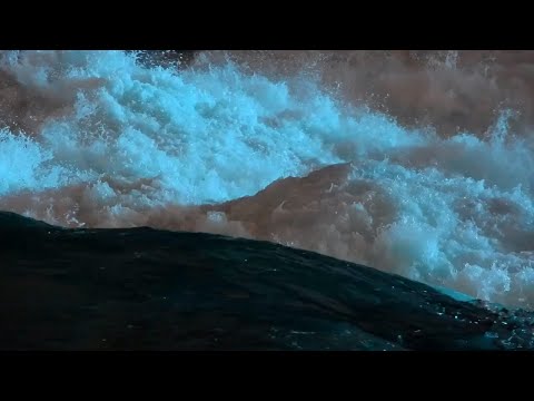 jóhann gunnarsson - jóel Pálsson-Ari Bragi kárason - Þórdís- Hallvarður.  [ dysiinfection]