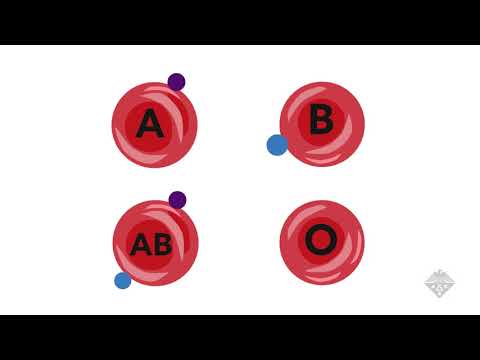 Making Universal Donor Blood From Other Blood Types | Headline Science